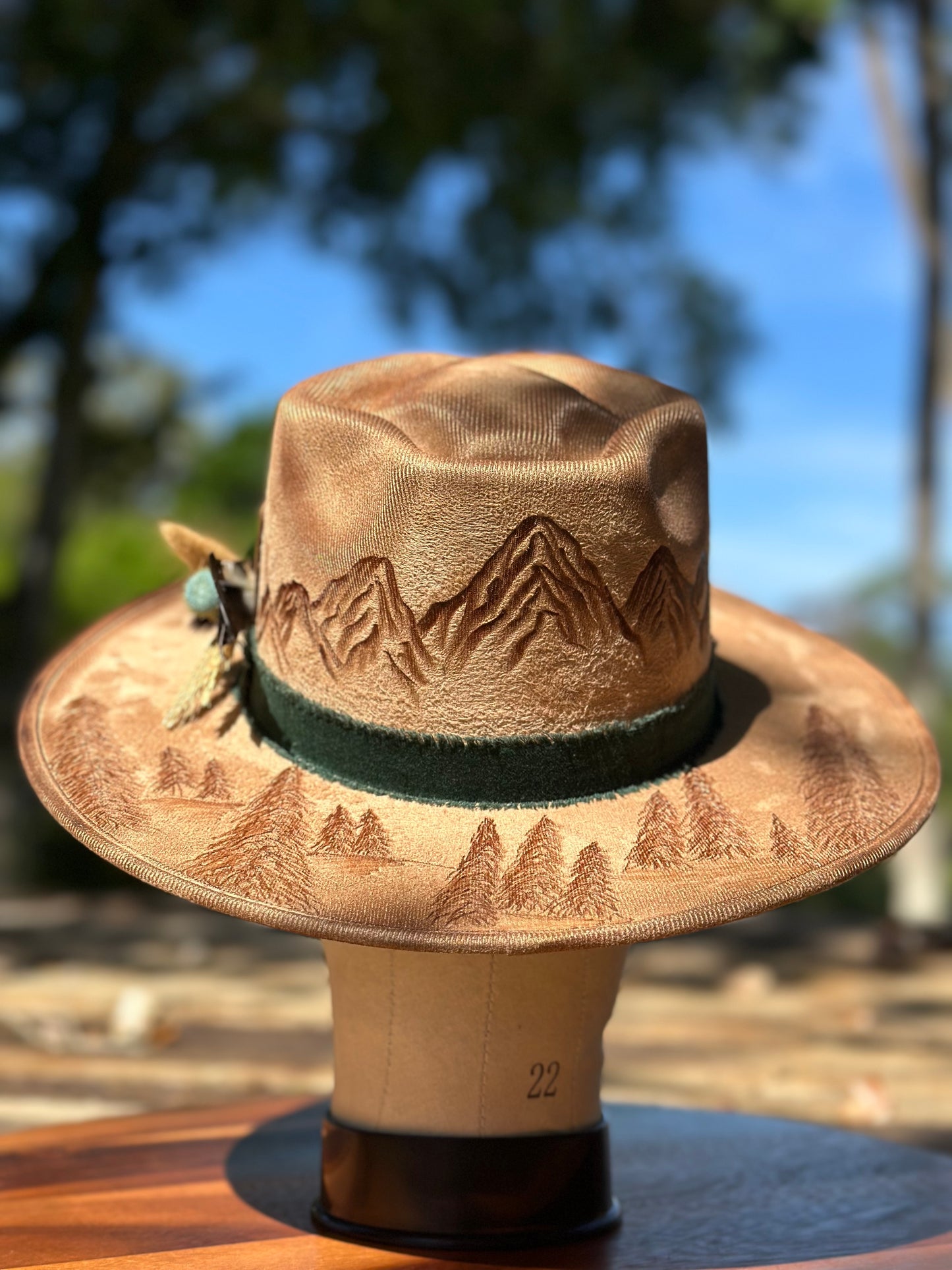 Hat #36 - Mountain Views