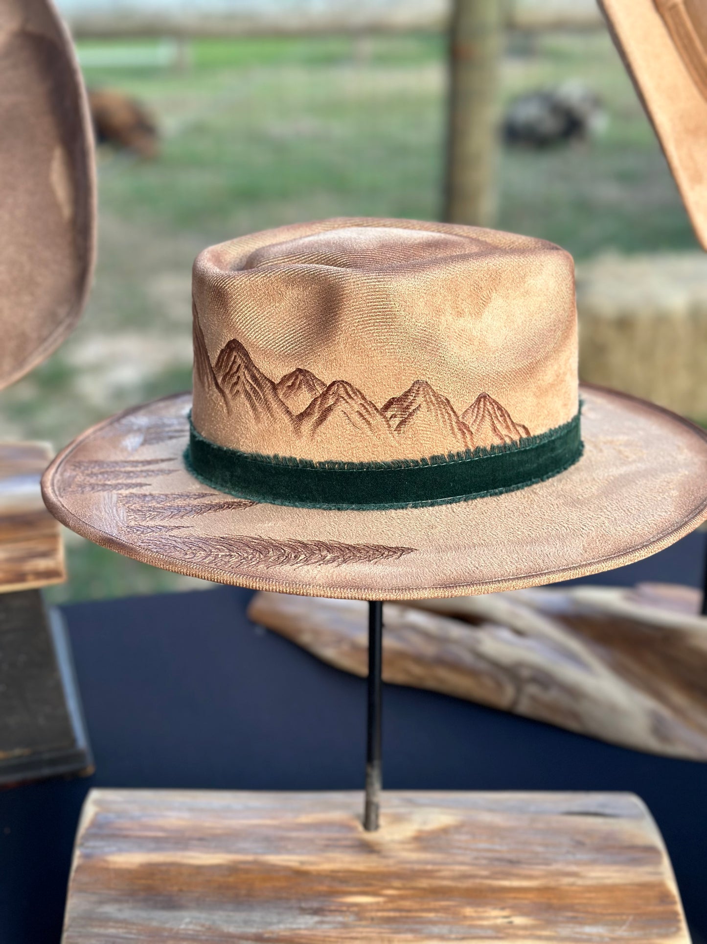 Hat #36 - Mountain Views