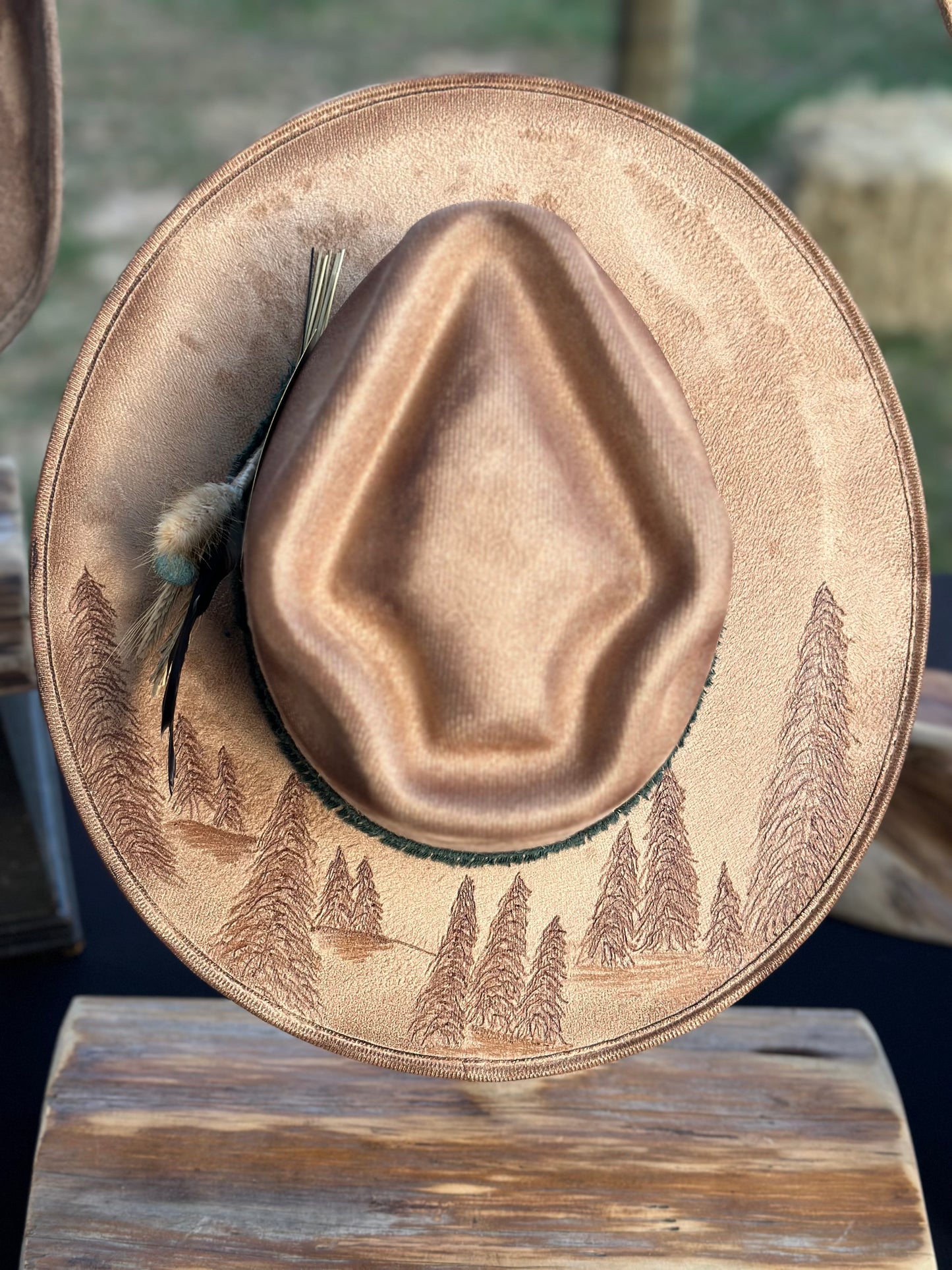 Hat #36 - Mountain Views