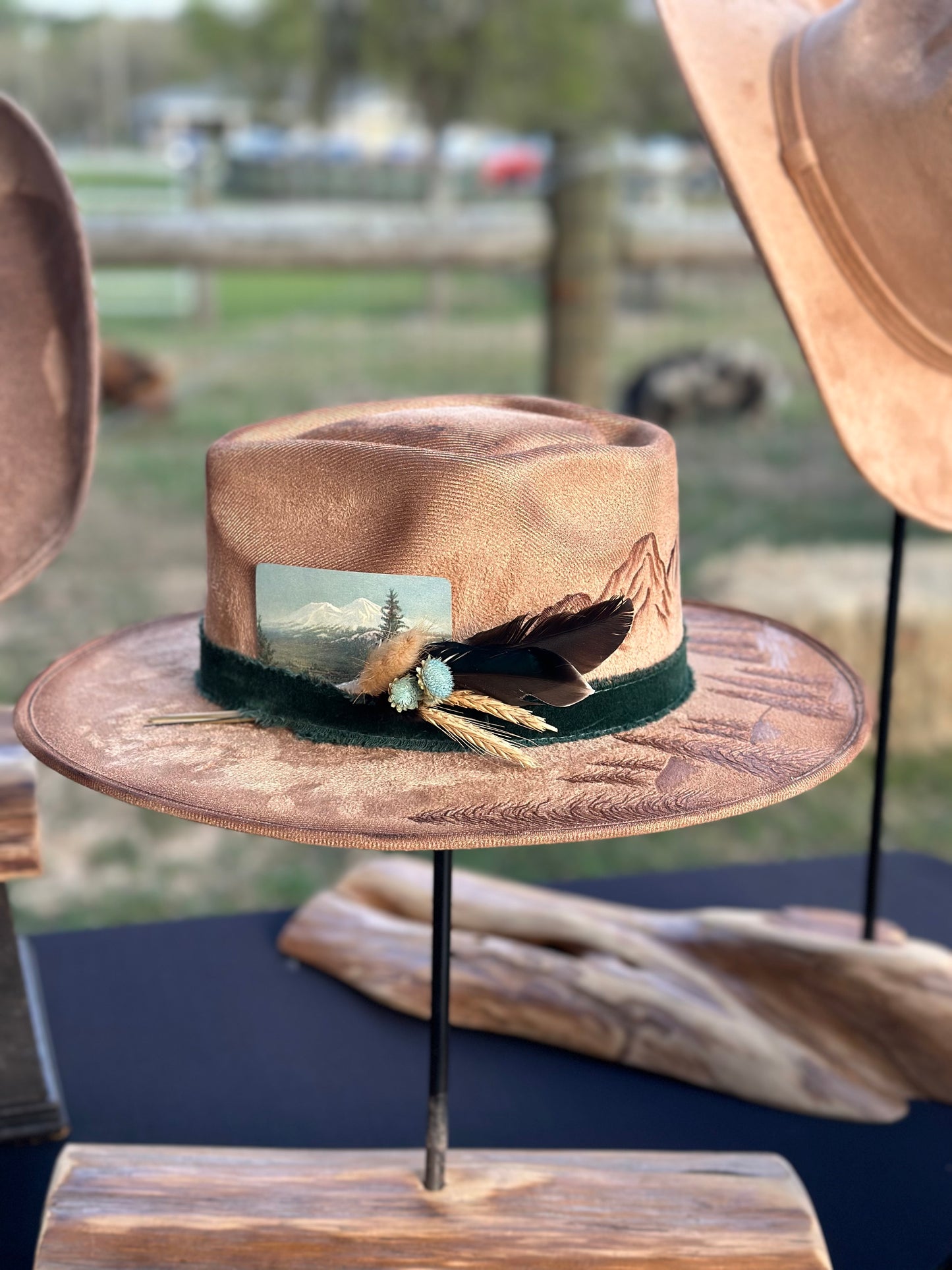 Hat #36 - Mountain Views