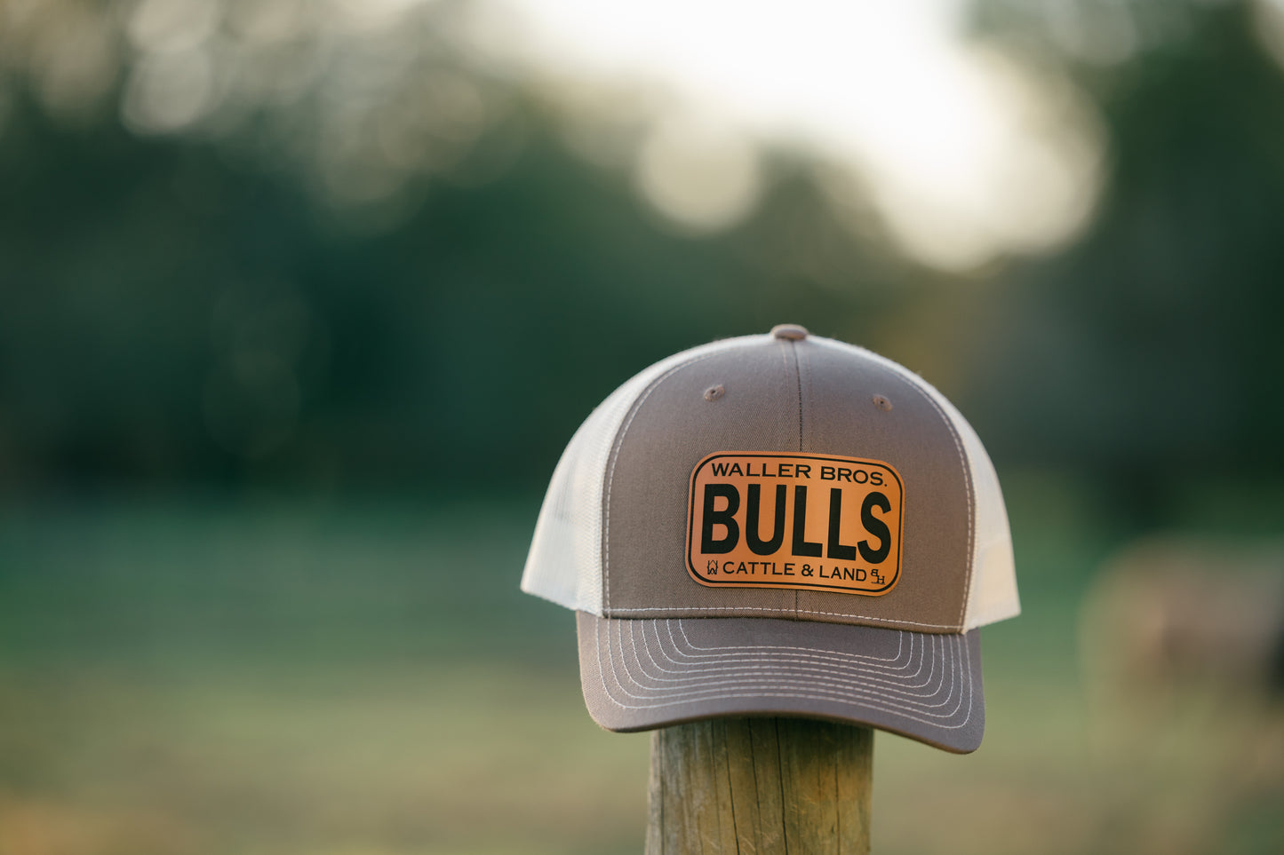 Waller Brothers Cattle & Land BULLS Richardson 6 Panel 112 Trucker Hat