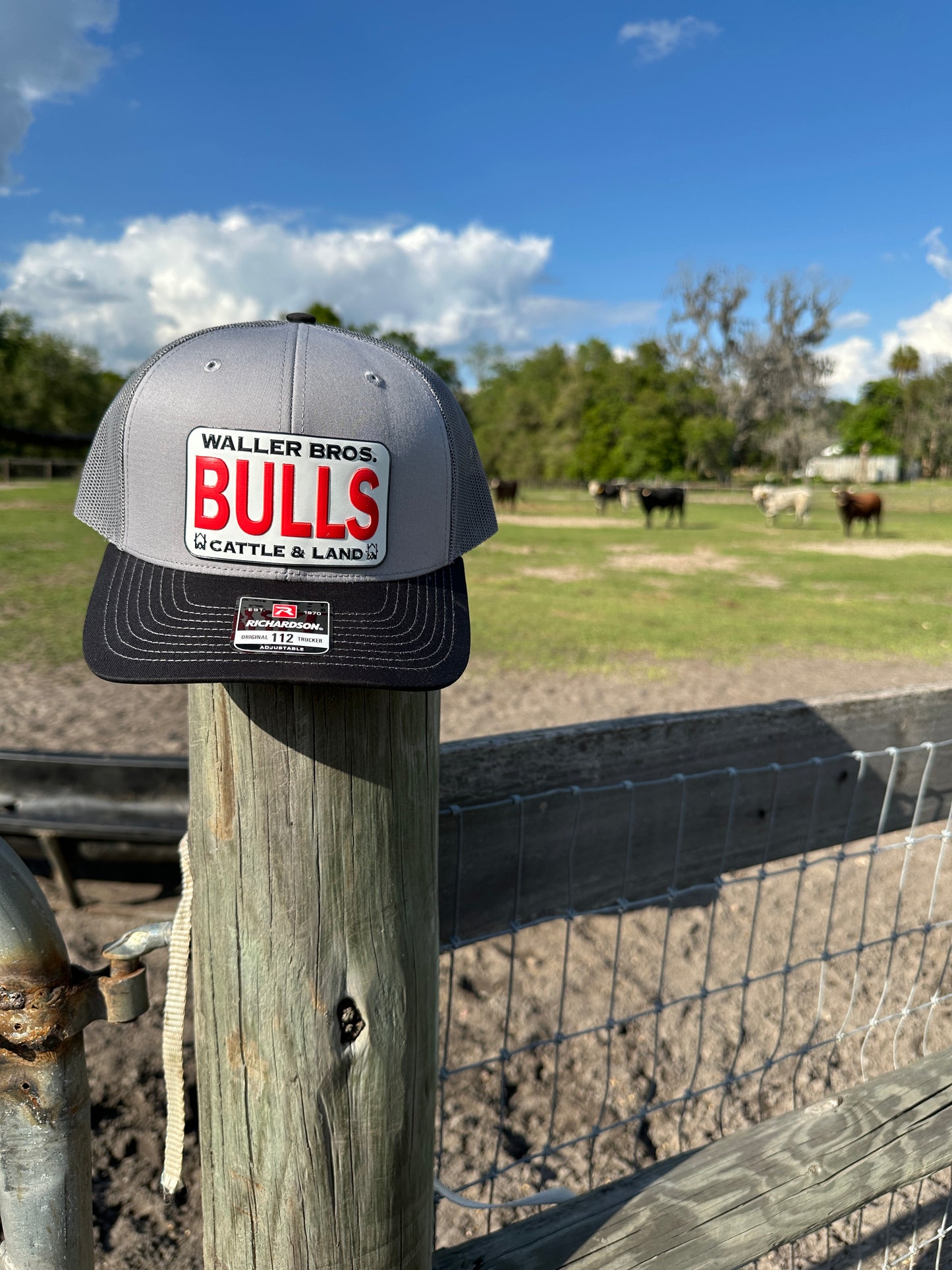 Waller Brothers Cattle & Land BULLS Richardson 6 Panel 112 Trucker Hat with UV Printed Patch