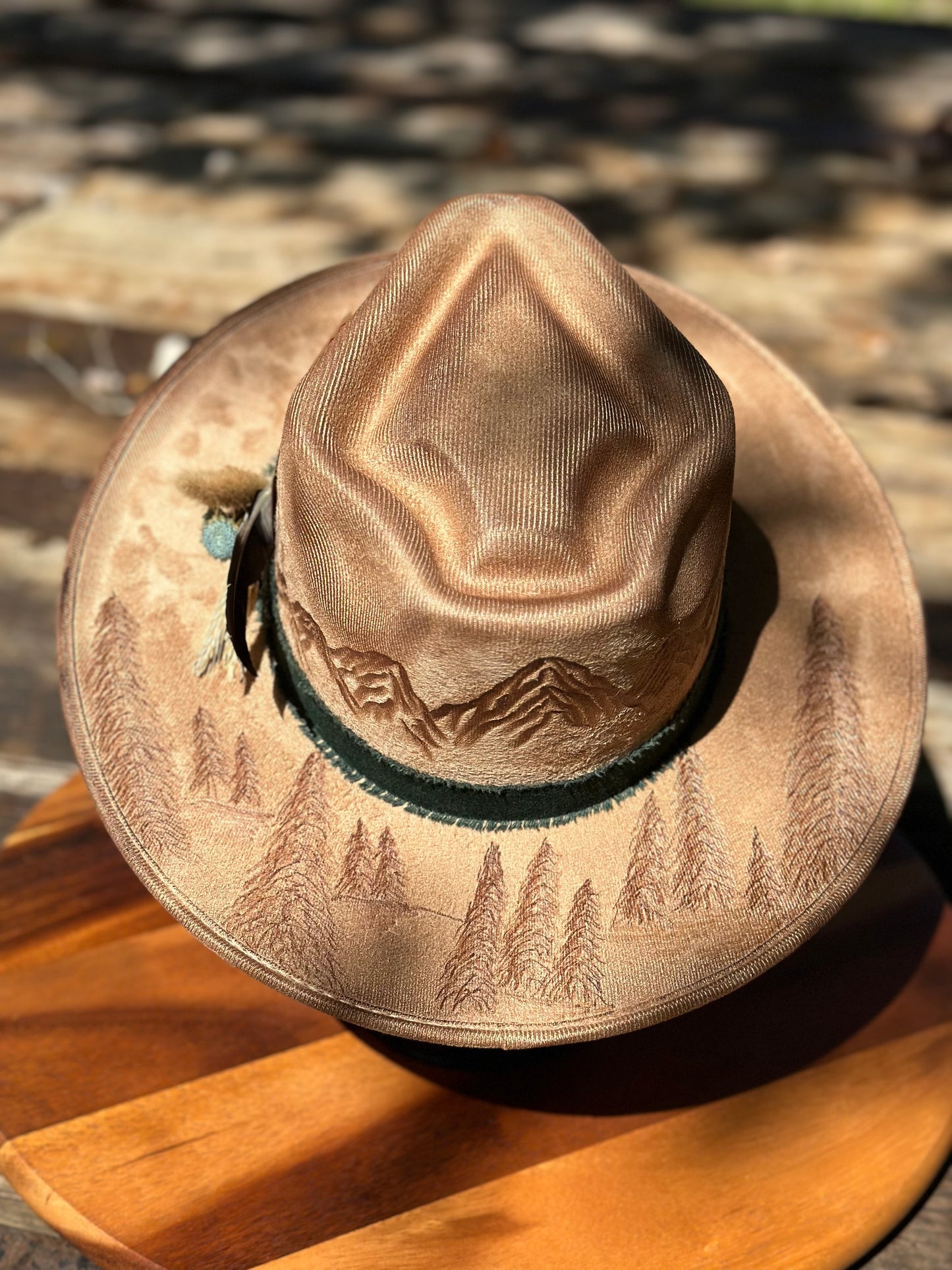 Hat #36 - Mountain Views