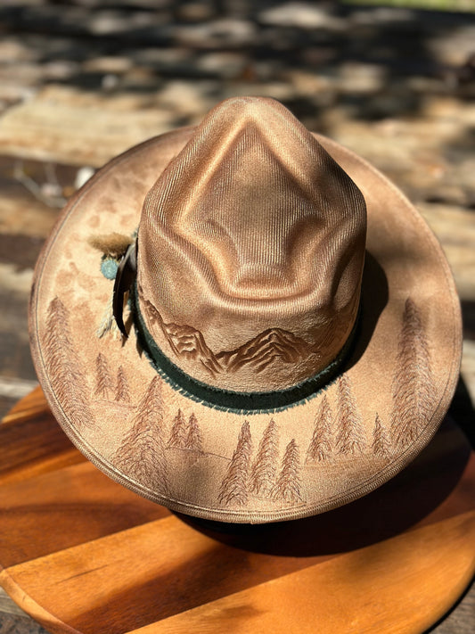 Hat #36 - Mountain Views