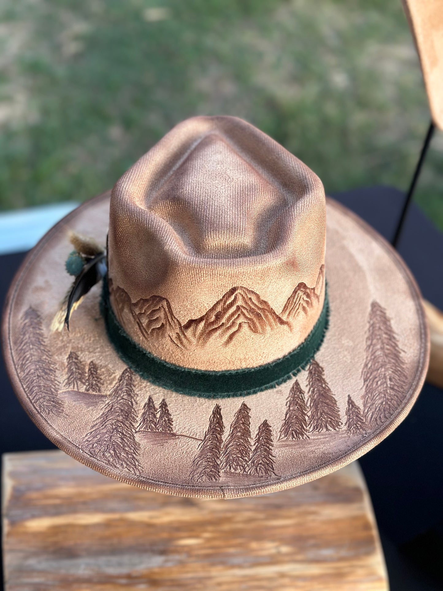 Hat #36 - Mountain Views