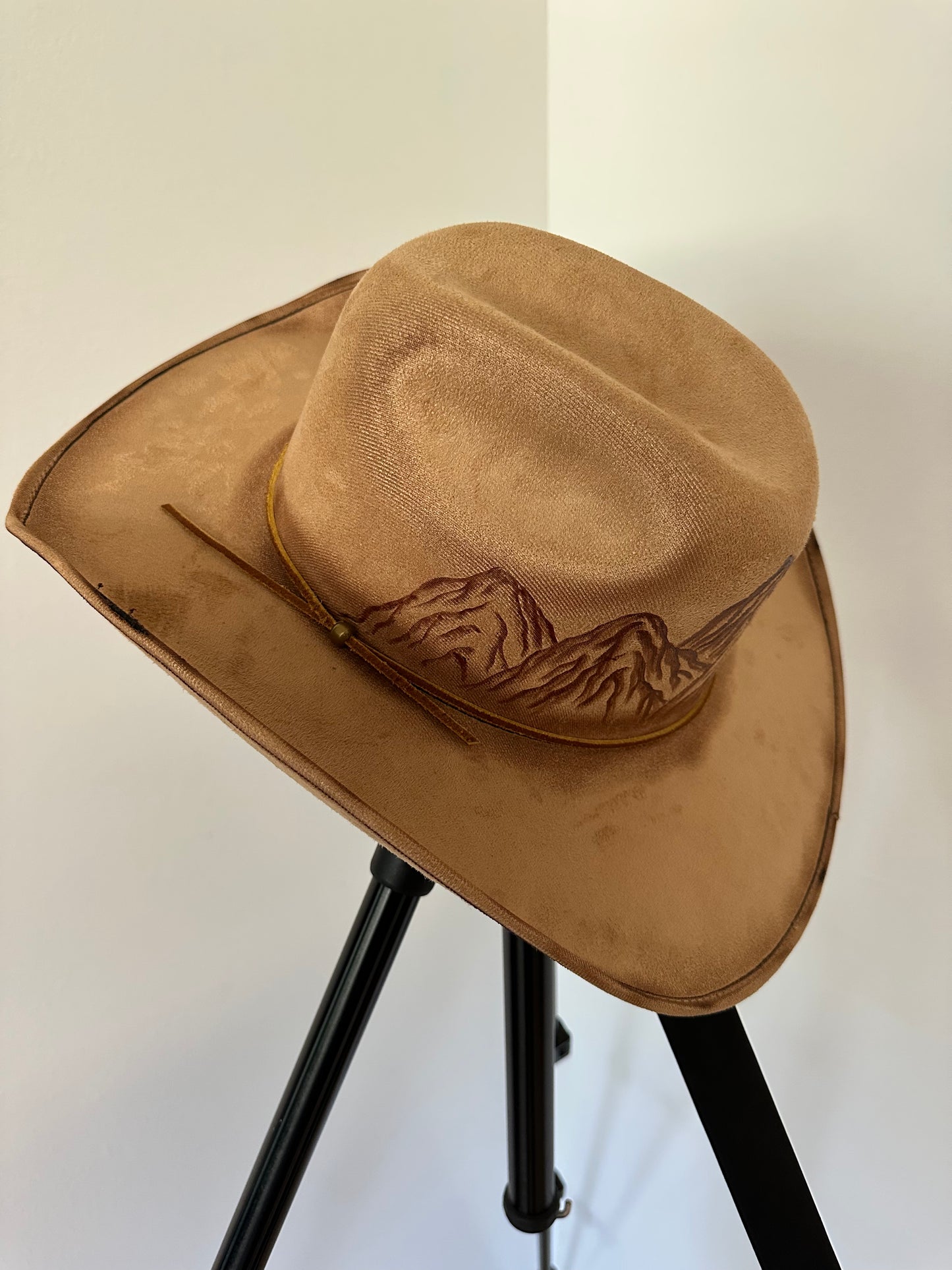 Burned hat #266 - To the Mountains I must go.