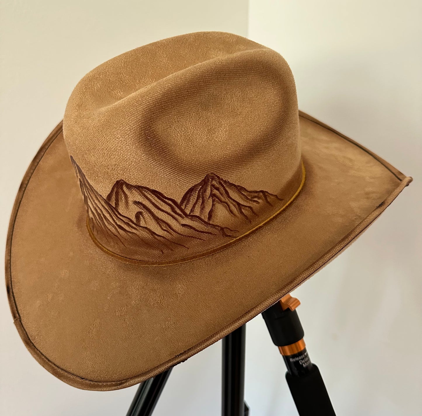 Burned hat #266 - To the Mountains I must go.