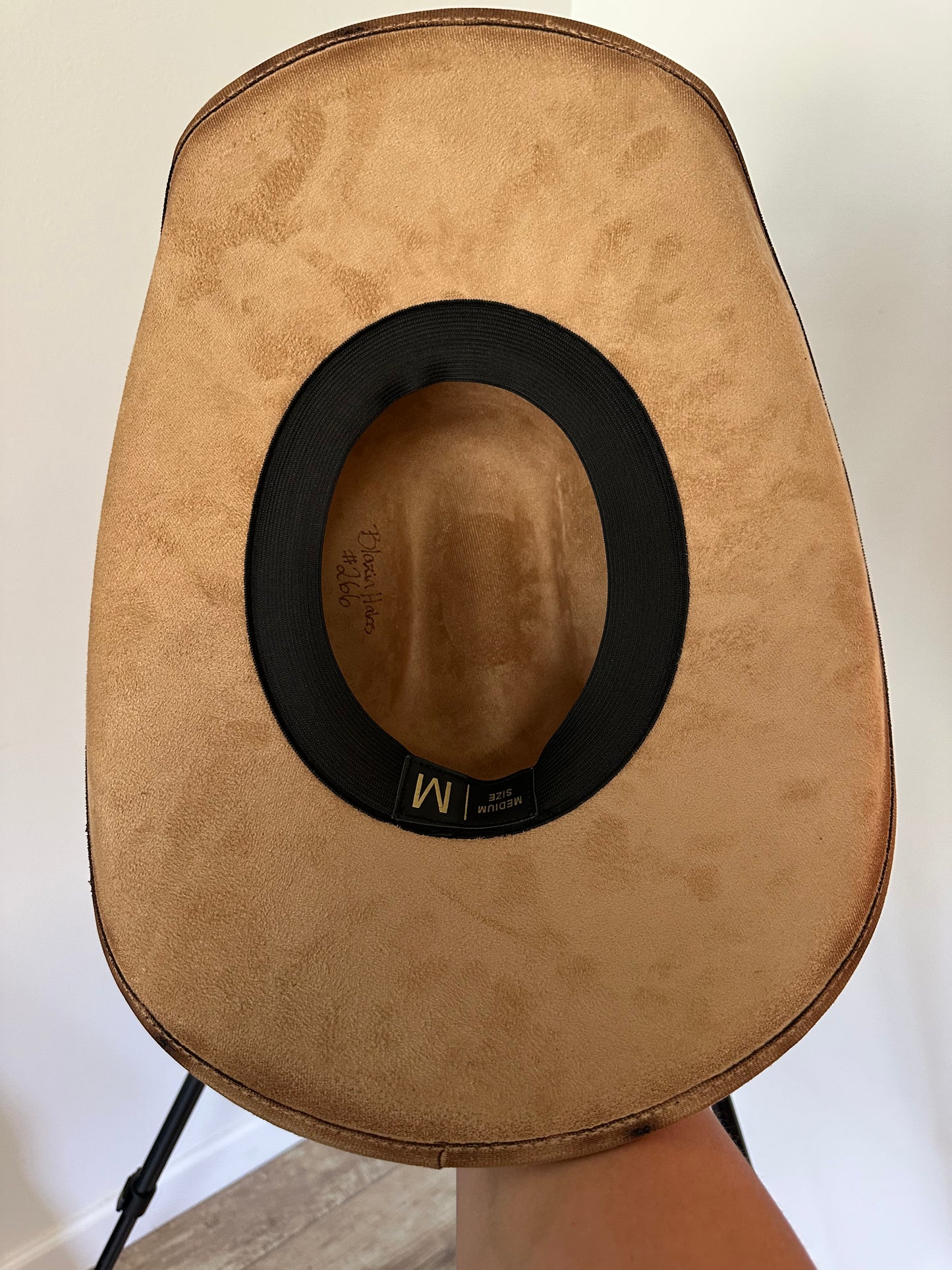Burned hat #266 - To the Mountains I must go.